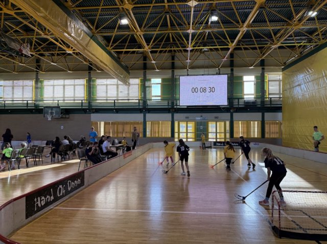 floorballlnyivikcsmd2.jpg